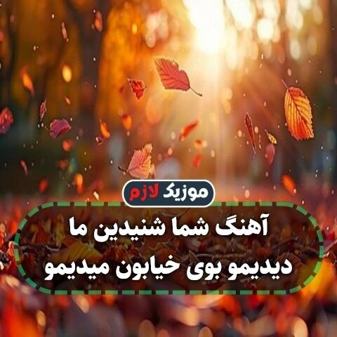 آهنگ شما شنیدین ما دیدیمو بوی خیابون میدیمو