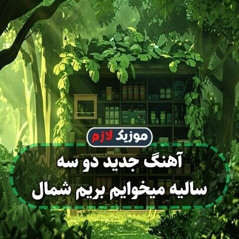 آهنگ جدید دو سه سالیه میخوایم بریم شمال