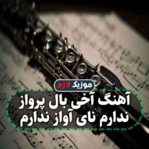 آخی بال پرواز ندارم نای آواز ندارم