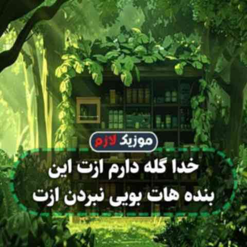 خدا گله دارم ازت این بنده هات بویی نبردن ازت