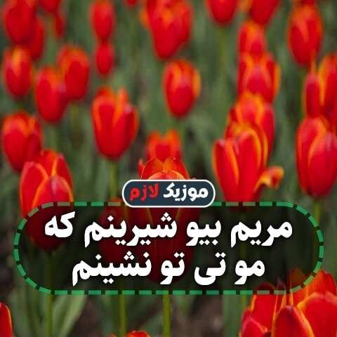 مریم بیو شیرینم که مو تی تو نشینم مریم بیو شیرینم که مو تی تو نشینم